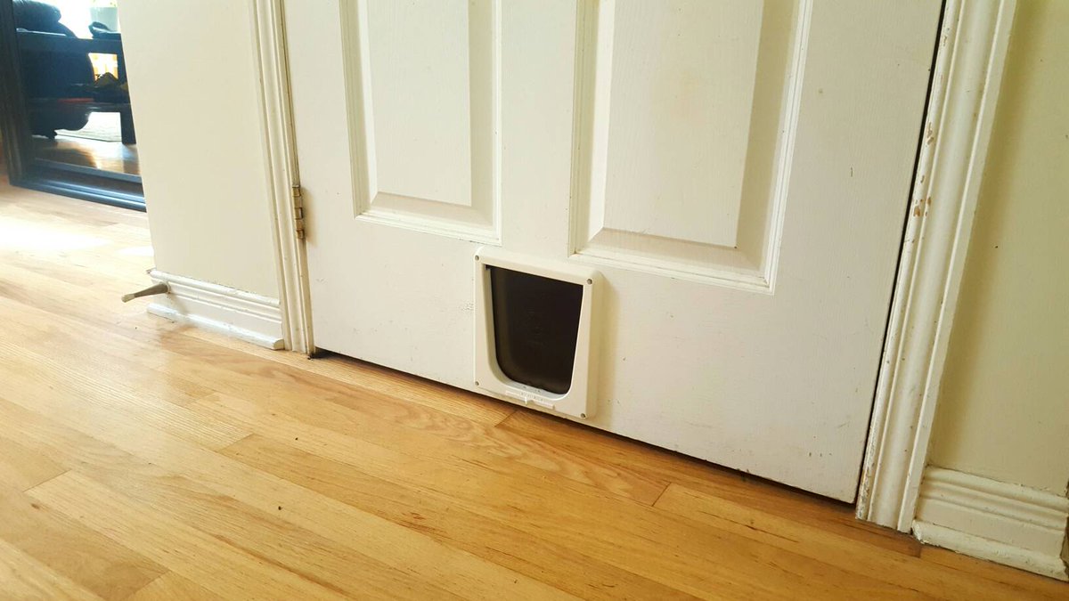 PoftheSea's tweet photo. Installed a cat door to the basement. Uno can go poop freely now. #freedom #Cat https://t.co/gdiIhMSQNS