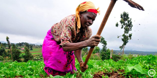 MakeWomenCount's tweet image. Busting myths about rural women: 1)Women produce 60 to 80 percent of the world’s food #InternationalDayforRuralWomen ow.ly/kgY6305fiFb