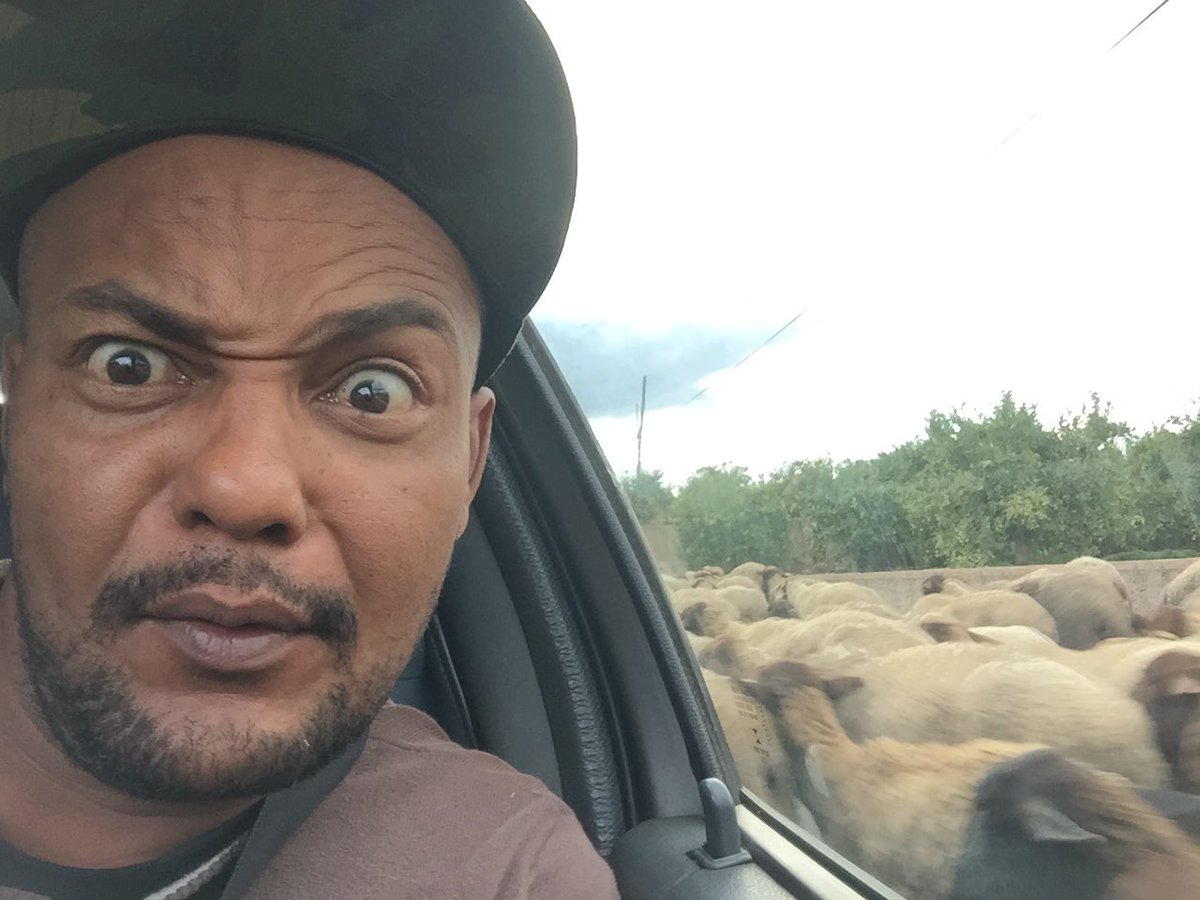 Estamos rodeados!!!!!