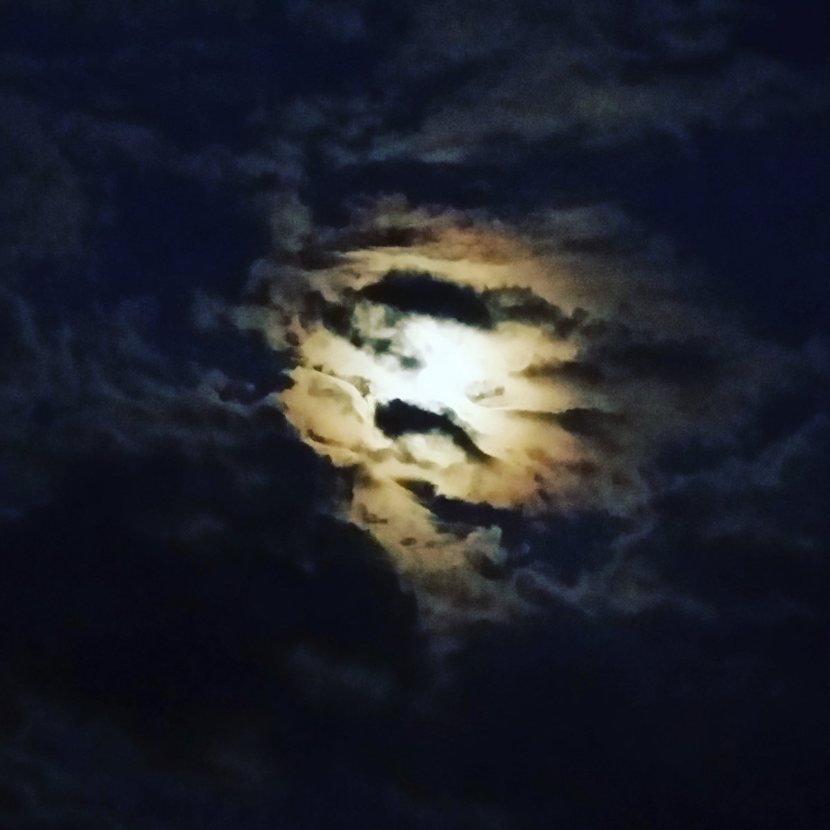 ScriptedDeaths's tweet image. Love the mornings!
#Morning #photography #mondaymotivation