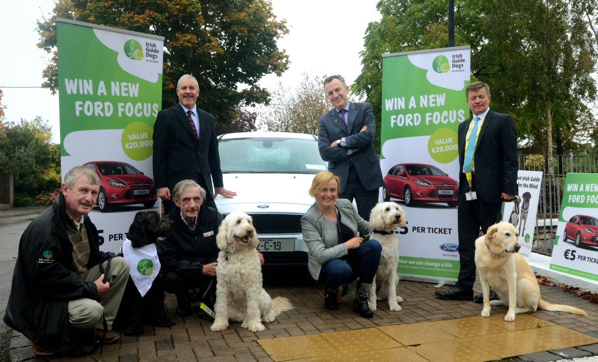 irish guide dogs shop