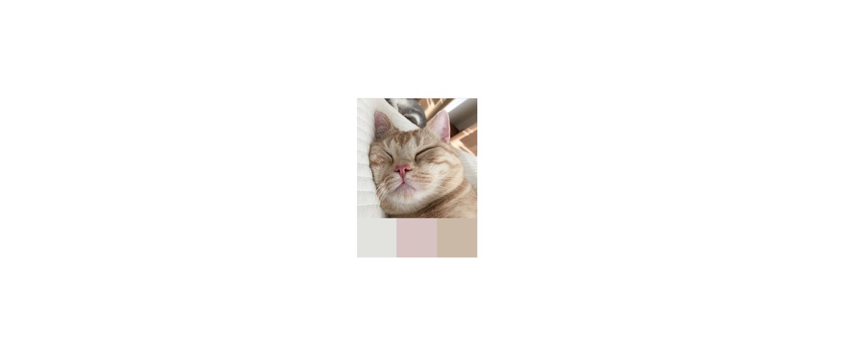 everiryn's tweet photo. ♡ #Headtwitter #แจกเฮด #พื้นที่โปร ♡
+ headtwt pantone (4P) rt ตามทัก ⚡
☁ https://t.co/LJSeDLBtX5 ☁ https://t.co/K4zGKDxQkS
