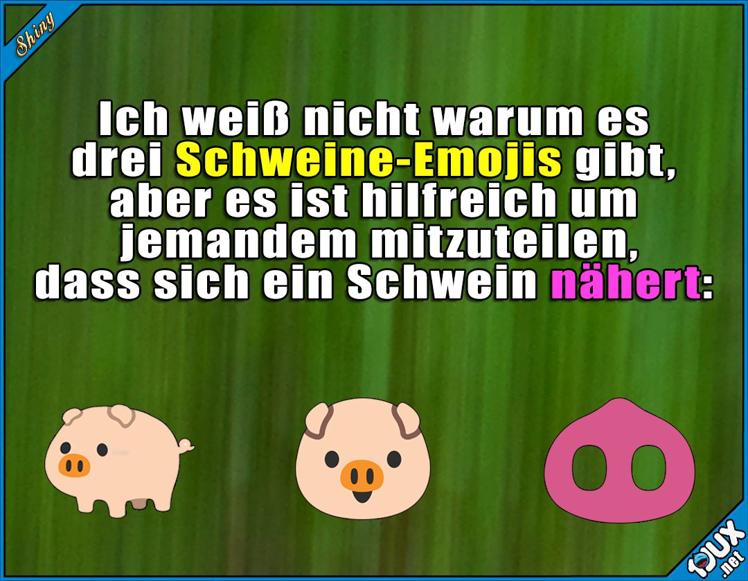 Shiny On Twitter Das Wird Mal Jemandem Das Leben Retten Https T Co 6jgtsa9fi0 Schweine Emojis Emoji Jodel Lustig Lustigespruche Bilddestages Https T Co Jw5unz7zec