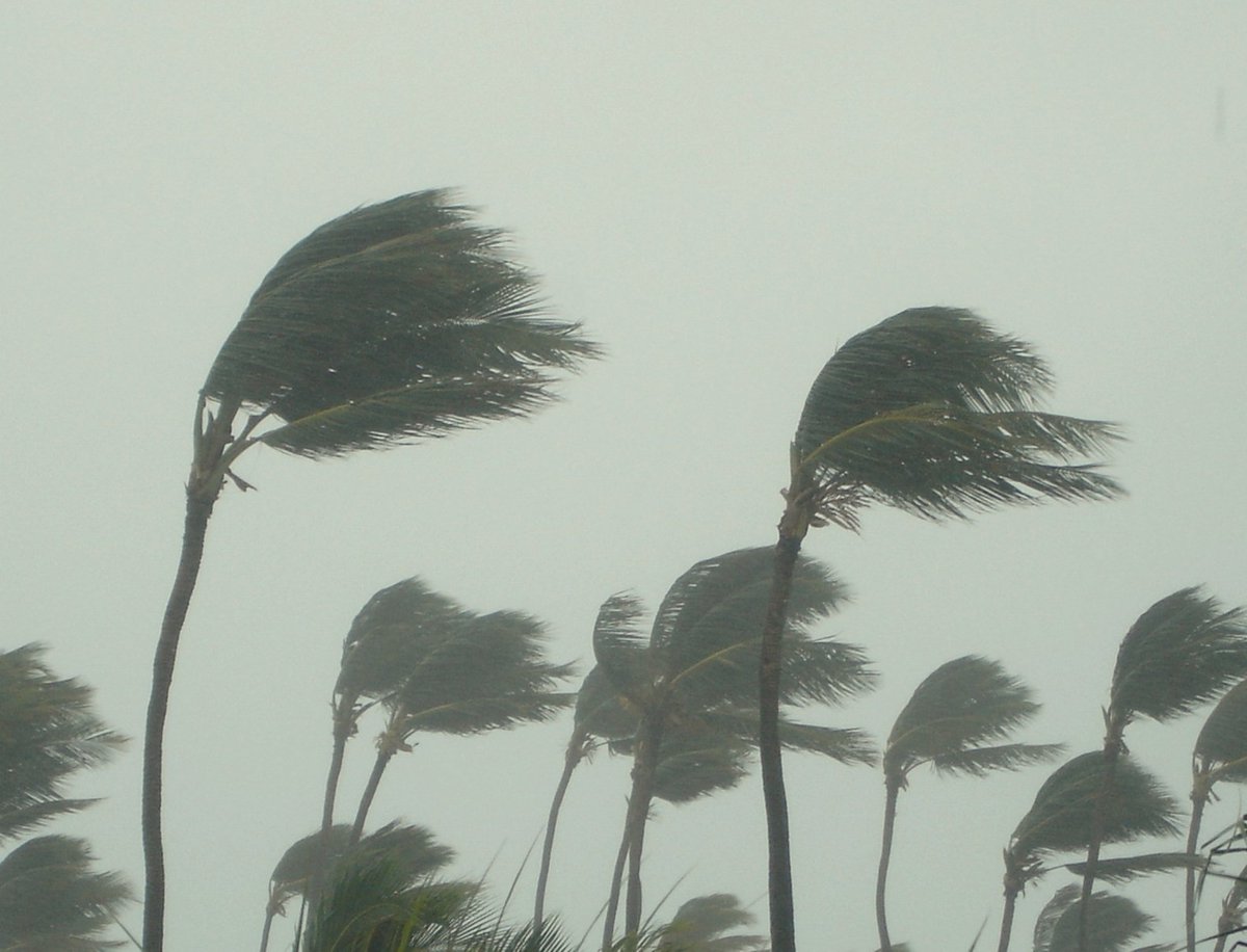 StrokeSmart_org's tweet photo. Due to Hurricane Matthew, National Stroke Association is postponing Comeback Trail 5K on Sat. in Fort Lauderdale. Stay tuned for new info. https://t.co/X8BDKTP0f9