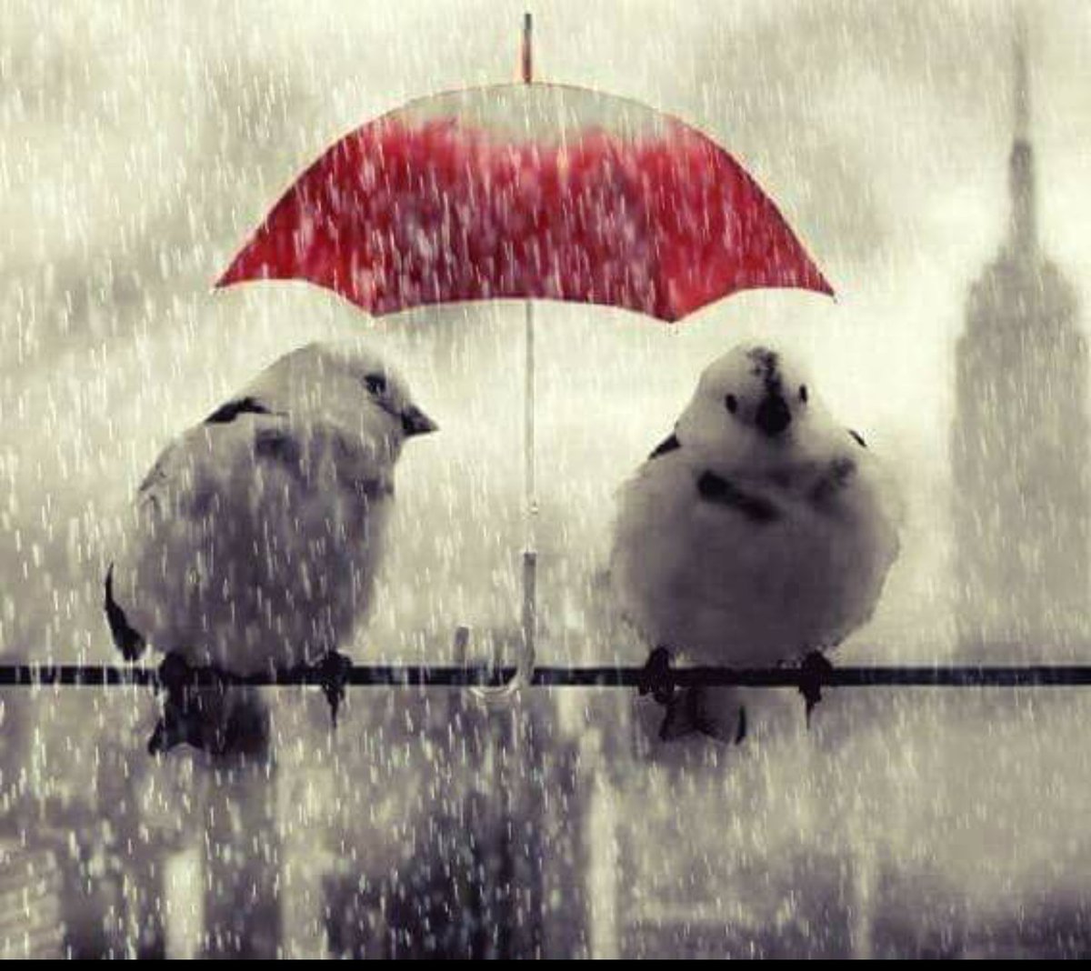 bizkimmi's tweet photo. Islanalım mı biraz ;))🌂 https://t.co/CFr0SMczyv