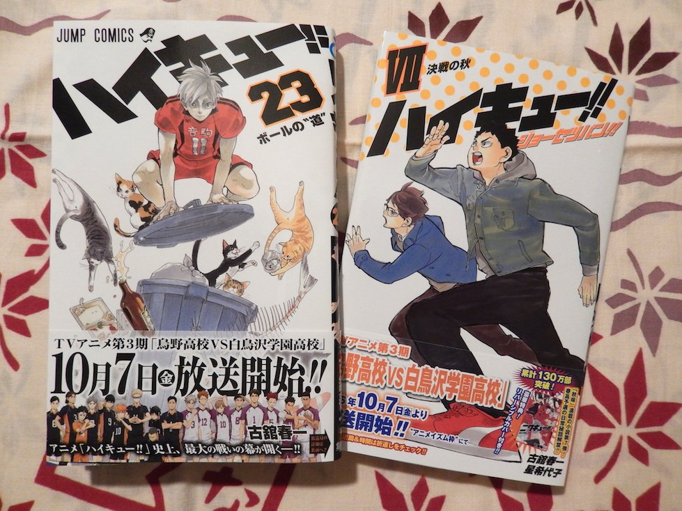早乙女勇美 على تويتر 今日 ハイキュー 23巻とショーセツバン を買ってきたけど 23巻の表紙がリエーフでウワー ってなってる でもちょっと怖いくらい 獣のようになっているリエーフ まさしく 獅子 になったリエーフって感じで 眠れる獅子