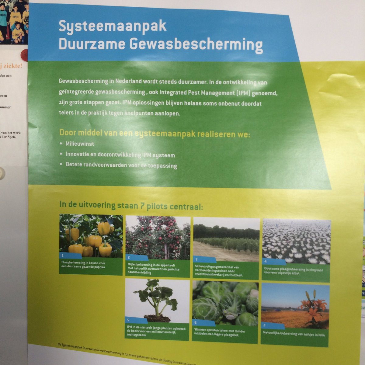 Half jaar na afspraken dialoog gewasbescherming gaan 7 pilots op zoek naar natuurlijker bescherming van onze groenten en bloemen.