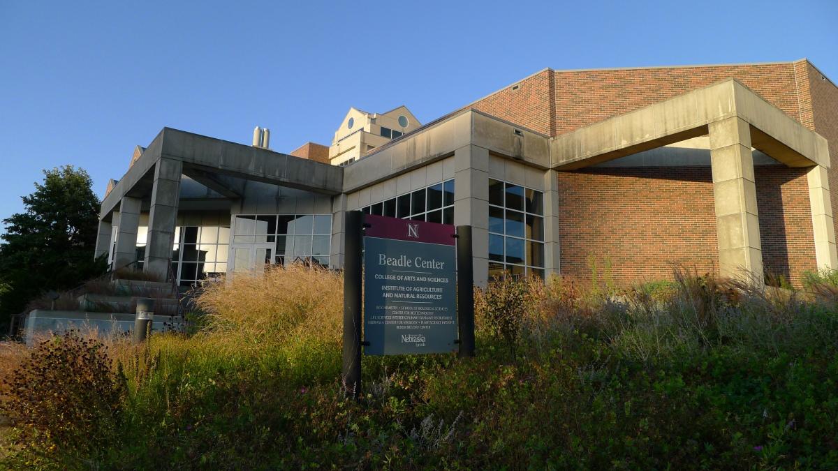 ahgsa_unl's tweet photo. Don't miss #AHGSA October meeting today @ Beadle Center E228 530 PM
Free food and #SCImPLE activity !!!
@unlagrohort @UNLPlantPath @UNL_PSI https://t.co/zkbeBOLv05