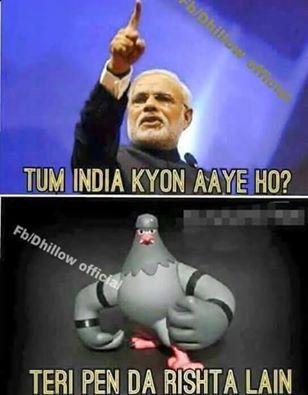 Its_Alihere's tweet photo. #IndiaScaredOfPigeonsStrike. u #terrorist #see it.
#Self... https://t.co/DFAqqWKe73