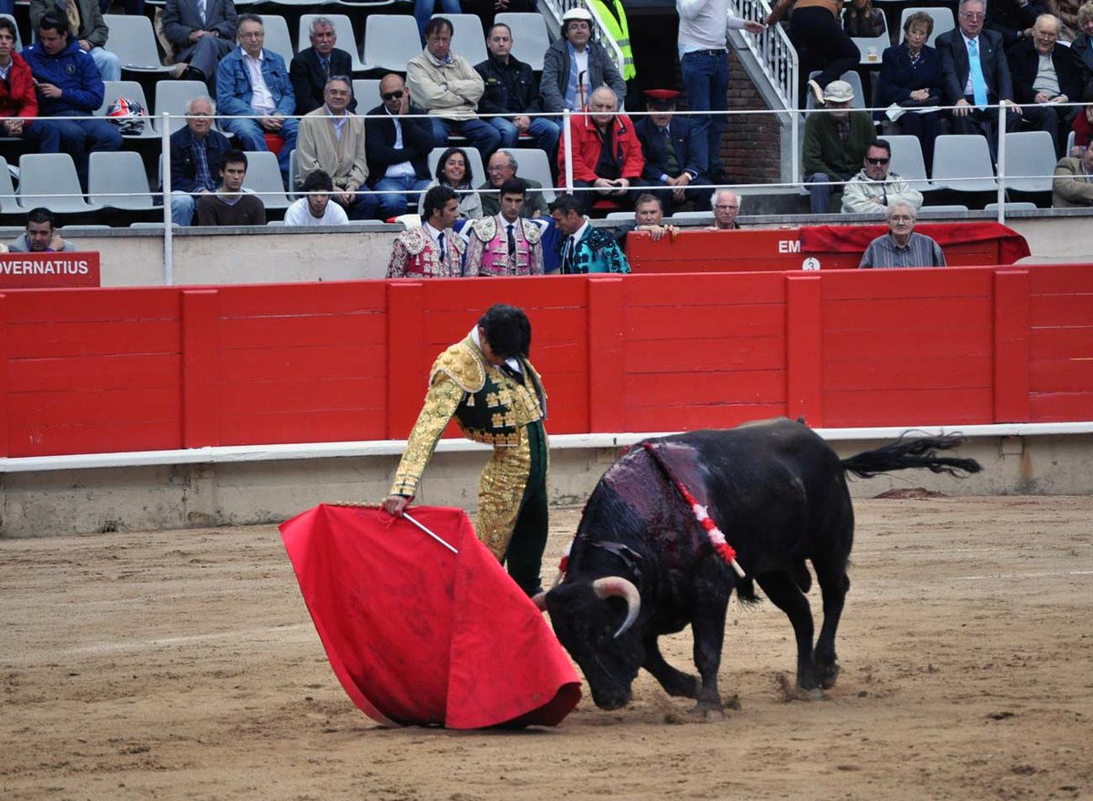 raquelsanz's tweet photo. ¡#EternoVíctorBarrio! Los toros vuelven a Cataluña. No podrán volver a disfrutar de tu toreo, pero la libertad ha ganado a la irracionalidad https://t.co/bpMwhn2fFu