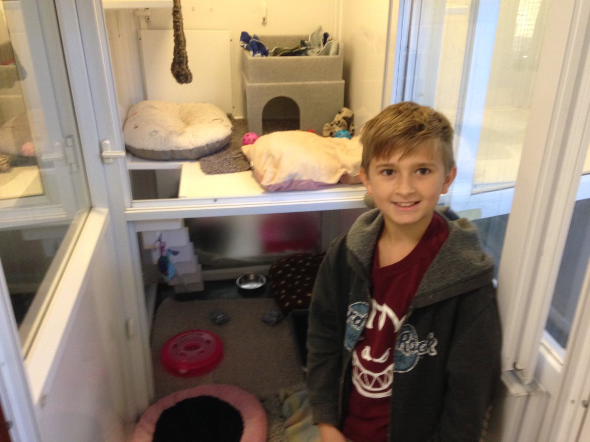 RadnorHouseEPP's tweet photo. The team hard at work at @themayhew ....Mungo has made a friend! #MADD #makeadifference @RadnorHouseTW https://t.co/qQJ9bOqmVK