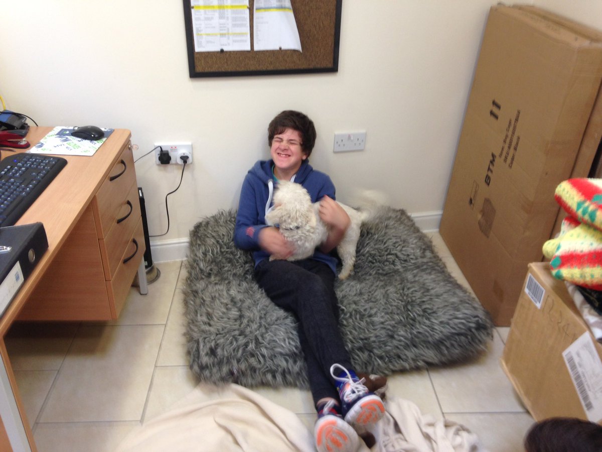 RadnorHouseEPP's tweet photo. The team hard at work at @themayhew ....Mungo has made a friend! #MADD #makeadifference @RadnorHouseTW https://t.co/qQJ9bOqmVK