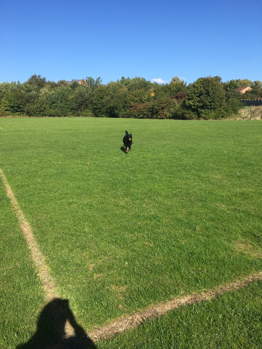 RPD_Logan's tweet photo. First free run with Logan today so pleased with his recall back to me. β€οΈπΎπ #buildingabond #gettingtoknoweachother https://t.co/5hPLuMSJDW