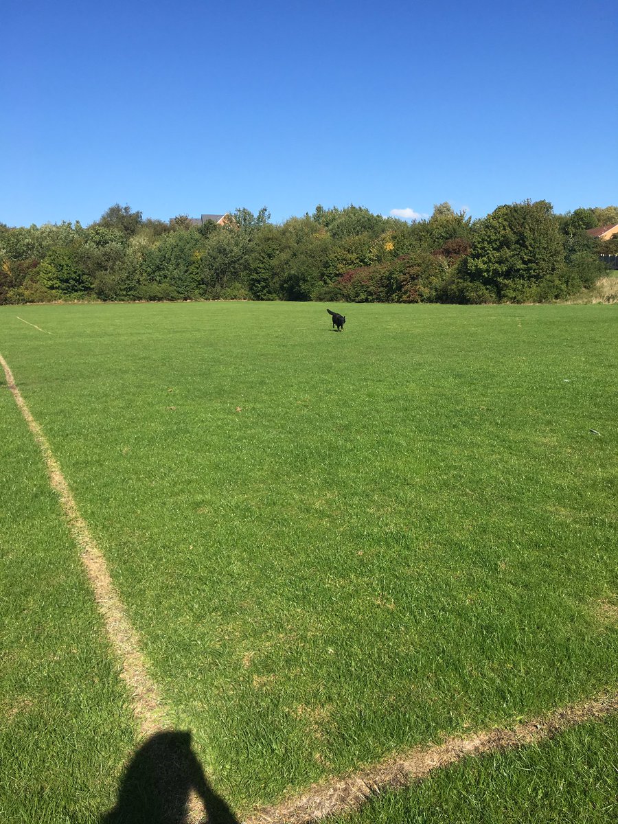 RPD_Logan's tweet photo. First free run with Logan today so pleased with his recall back to me. β€οΈπΎπ #buildingabond #gettingtoknoweachother https://t.co/5hPLuMSJDW