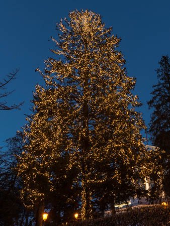 ElektroMaterial's tweet photo. Wie viele #LED stecken im 30m hohen #Weihnachtsbaum in #Gstaad?Antwort vom Profi für #Weihnachtsbeleuchtung #xmas https://t.co/1CN2OjTrZr https://t.co/SM6aB6OZMS