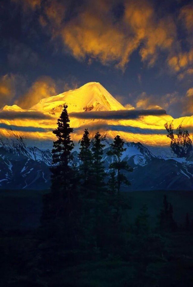 1012Keitai's tweet photo. TY! See you😴✨💫✨ @maruta393 @luckycatlucky @mijeane4 @MohamedTayari @Biela25 @StefanKroeger3 @ELTAXIDENOCHE @Giusepp91813253 @aprilwilliams68 https://t.co/DXm8PacdxX