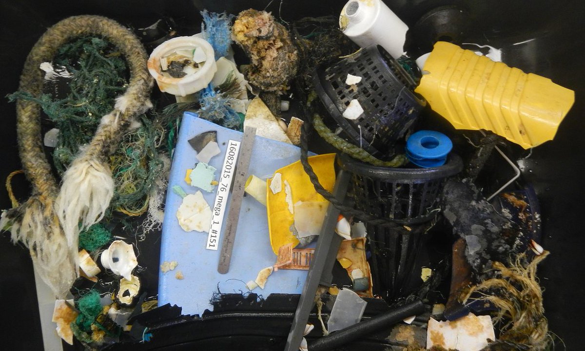 LitterTeam's tweet photo. 'Great Pacific garbage patch' far bigger than imagined https://t.co/NIKeohsAFb https://t.co/FfGYPhr3LN