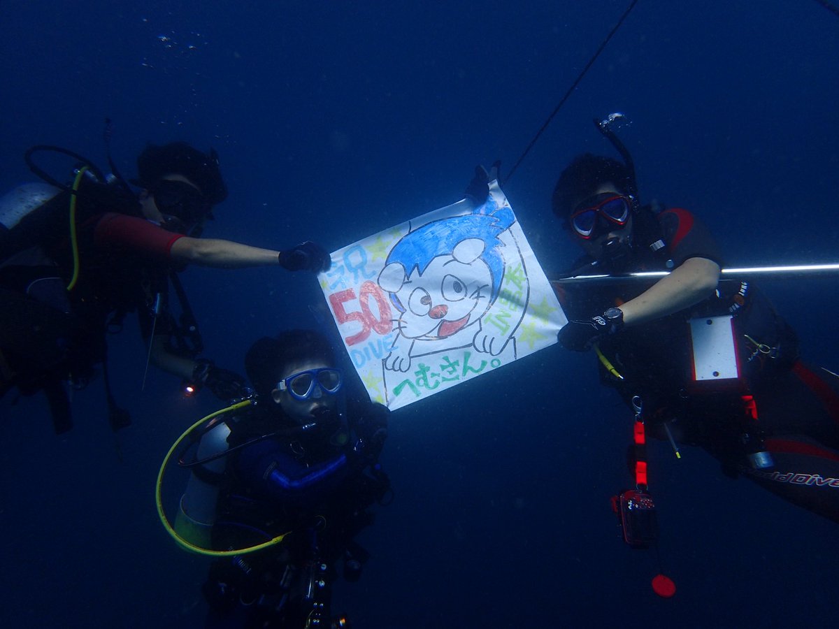 たけ@へむへむ🍊 tweet media