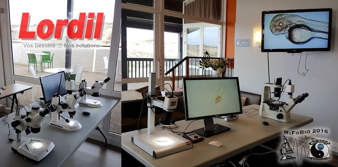 Lordil_Micro's tweet image. Lordil is currently presenting custom HDMI solutions at #MiFoBio 2016 with different types of microscopes and stereo-microscopes.