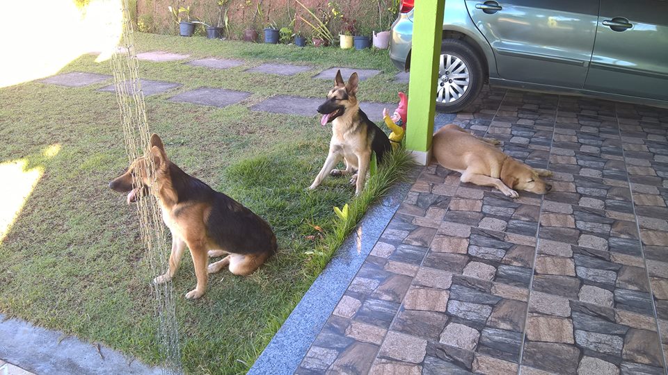 MarileyBor. #TIMBETA (@marileyjf) on Twitter photo 