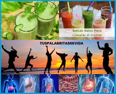ANTISOCIALESNO's tweet photo. Limpia Tu Organismo De Una Manera Increible Con Este Batido Facil De Preparar INFORMACION AQUI --->
https://t.co/iQzus5mbd5 https://t.co/mzaE3iKFnm