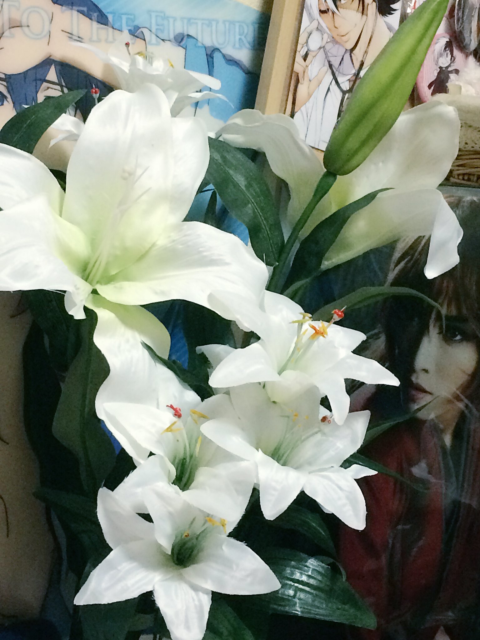 アサ ダイソーもセリアも百合の造花まったく無くなってて なかなかいいお値段の造花買ってしまった 可愛いからいいもん T Co 3x2reyjv8k Twitter アサ ダイソーもセリアも百合の造花まったく無くなってて なかなかいいお値段の造花買ってしまった 可愛いからいいもん T Co 3x2reyjv8k Twitter