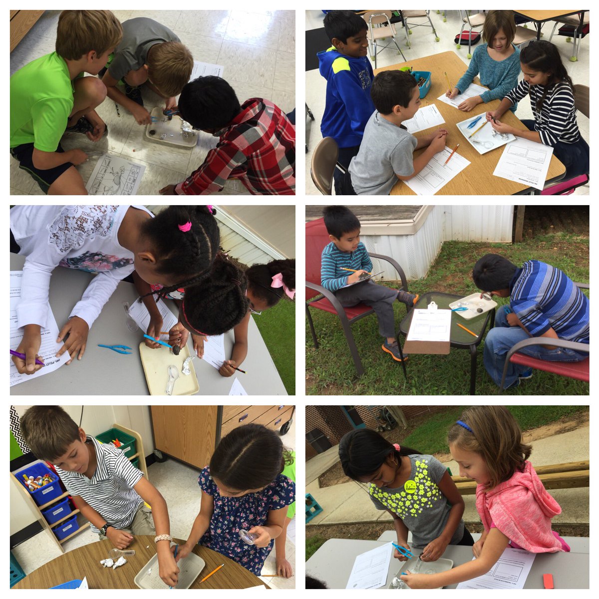 AlmandWES's tweet photo. #ExplorerHeroes investigating owl pellets! #ThirdGradeScienceRocks https://t.co/zLDhTAmXX6