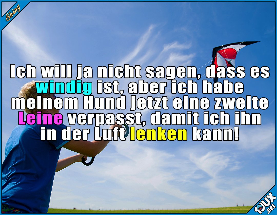 Lustige Bilder Windig Hund