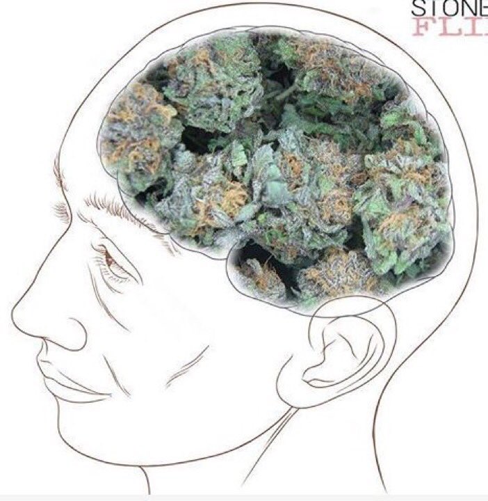 MrWizKhallifa's tweet photo. "What's on your mind?"

Me: https://t.co/nj281e82H9
