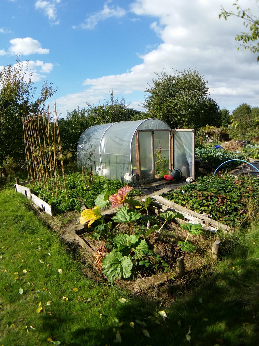 GrowForce's tweet photo. #organic #allotment #greenhouse #growing #idea https://t.co/En45LOtDnG