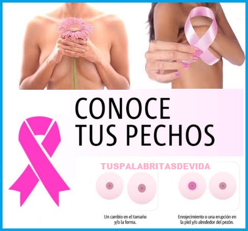 ANTISOCIALESNO's tweet photo. PRECAUCION Puedes Salvar Tu Vida Estando Alerta De Los Sintomas Que Advierten Un Posible Cancer De MAmA VIDEO ---->
https://t.co/jaZuSBdYGf https://t.co/27BRt8KR45