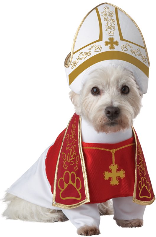 il_pupy's tweet photo. #PerrosEsMiReligión @perroscalle @andykusnetzoff @nicocayeta @nsalvarrey #chultz https://t.co/CXB16eN5r9