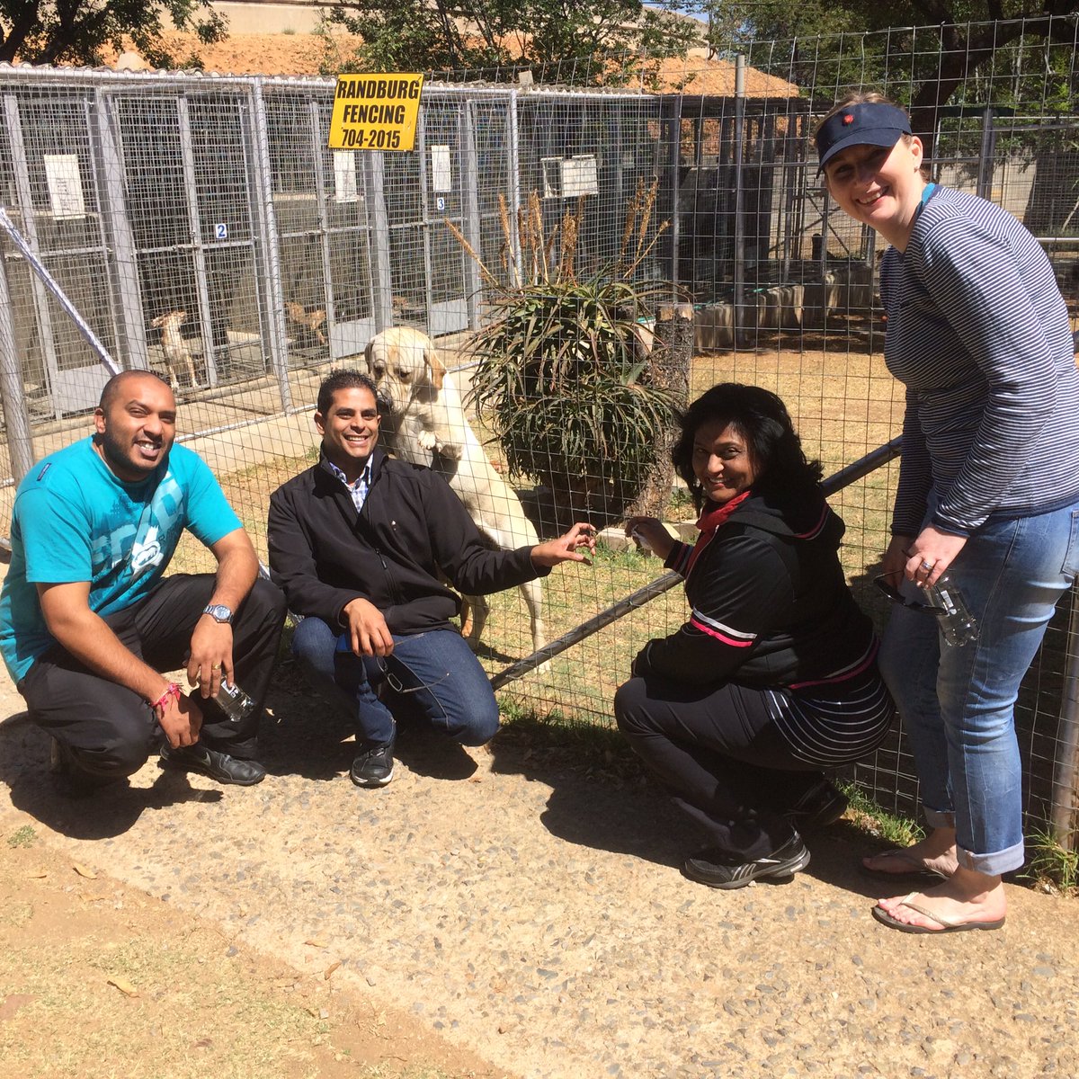 MastercardMENA's tweet photo. Mastercard #SA spent the day volunteering at the @SandtonSPCA #globalvolunteeringweek https://t.co/ixCbfiv9Ns