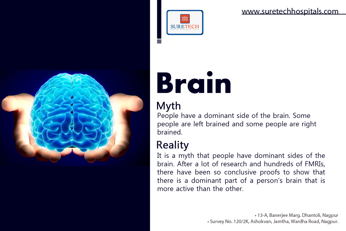 Tweet_Suretech's tweet photo. It is a myth that people are either left brained or right brained, causing them to be more logical or more creative. https://t.co/zC3my5RCvs