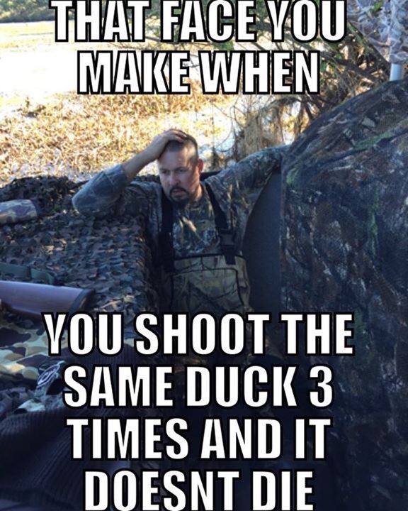 We all have that hunting partner right? #whatjusthappened #outdoors #badluck #sharpshooter #howdidyoumissthat #badshot #duckdog #taw1617