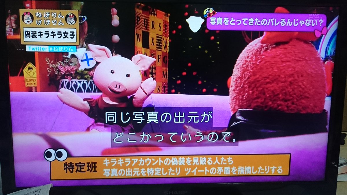 ぬいぐるみが 偽装キラキラ女子 の実情を語る ねほりんぱほりん Twitterの闇が深すぎる ねほりん 2ページ目 Togetter