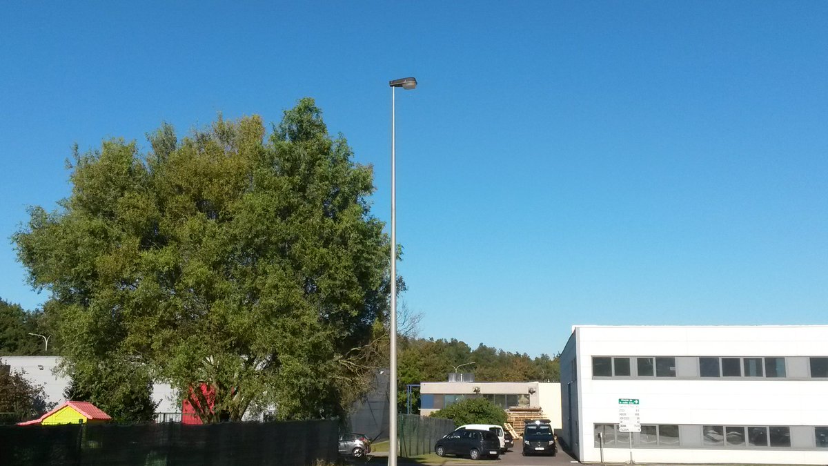 wetterkoess's tweet photo. Wenn der Himmel einfach nur blau ist... #nivelles #belgique #keineWolke #13Grad #frischerOstwind https://t.co/oG0kmimvsD