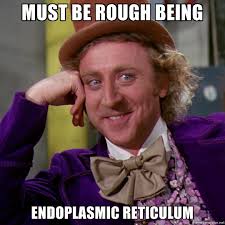 _Vote_Membrane_'s tweet photo. All the Endoplasmic Reticulum does is transport Protein. @LeadER42739624 #LNcellection2
https://t.co/EcM0I4rIOn https://t.co/rqrajztiUE