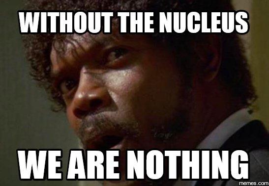 _theRealNucleus's tweet photo. https://t.co/eGpHzHTuDy #LNCellection2 #Nucleus2k16 https://t.co/VA4qv30q8v