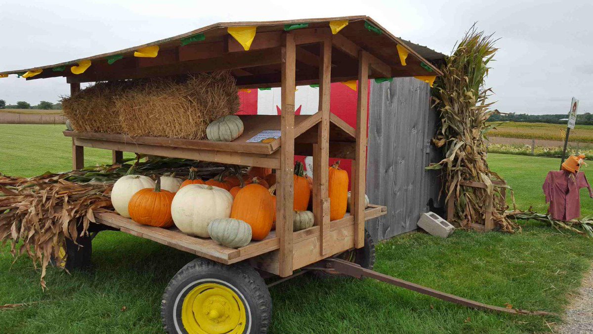 LeapingDeerFarm's tweet photo. Pick the #perfect #pumpkin for your family this Fall season! #ldafam #halloween #fall #october https://t.co/08G9nETWBp