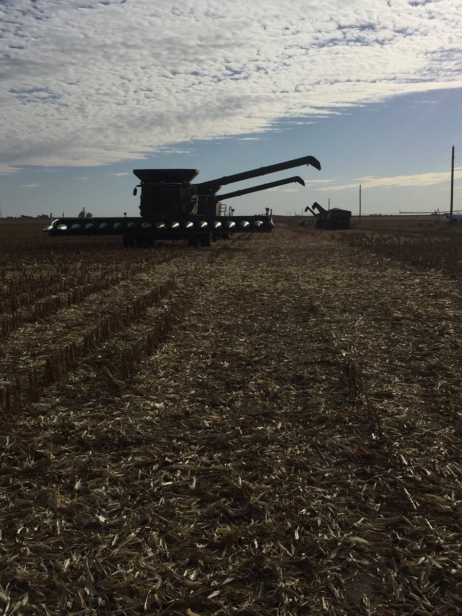 NolanHigh's tweet photo. @powerjasona you need more grinders #highmoisture #harvest16 https://t.co/rBZXose4kP