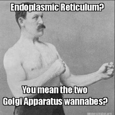 _Vote_Membrane_'s tweet photo. @GolgRush #LNcellection2
https://t.co/qBqVAzGftB https://t.co/A2YbiBIPo9