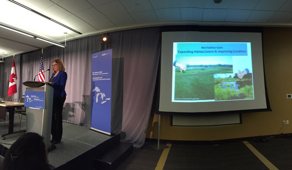 CameronDavisEPA's tweet photo. No net loss of #wetlands isn't good enough. #glwqa calls for net habitat gain in #greatlakes -- #GreatLakesForum https://t.co/qWpB0S8zpZ