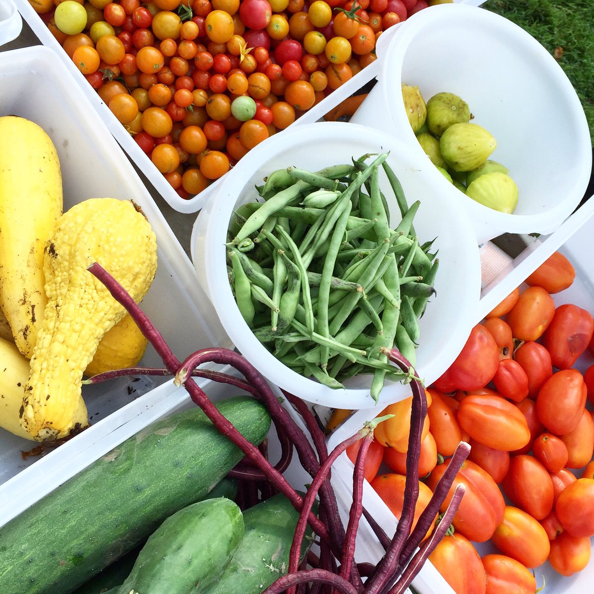 FarmtoSchool's tweet photo. 50M kids are now offered healthier school meals thanks to @FLOTUS &amp; #LetsMove. We're at the White House today celebrating - stay tuned! https://t.co/jBSOOt60aL