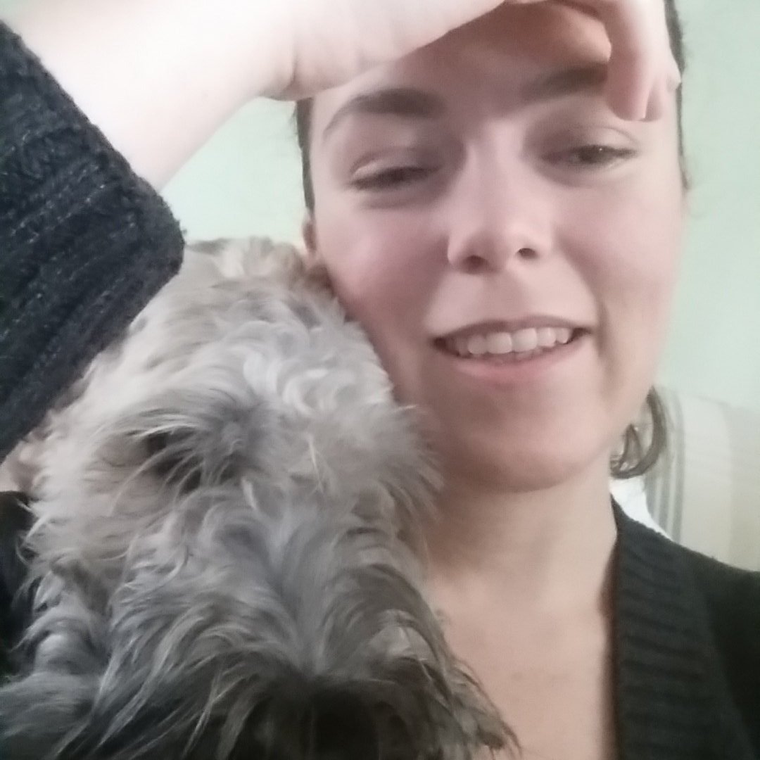 wrenawrites's tweet image. #WorkDistractions