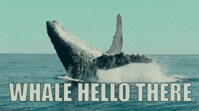 Get_Chip's tweet image. I'm more than a little excited to be here #getchip #savingsrevolution #personalfinance