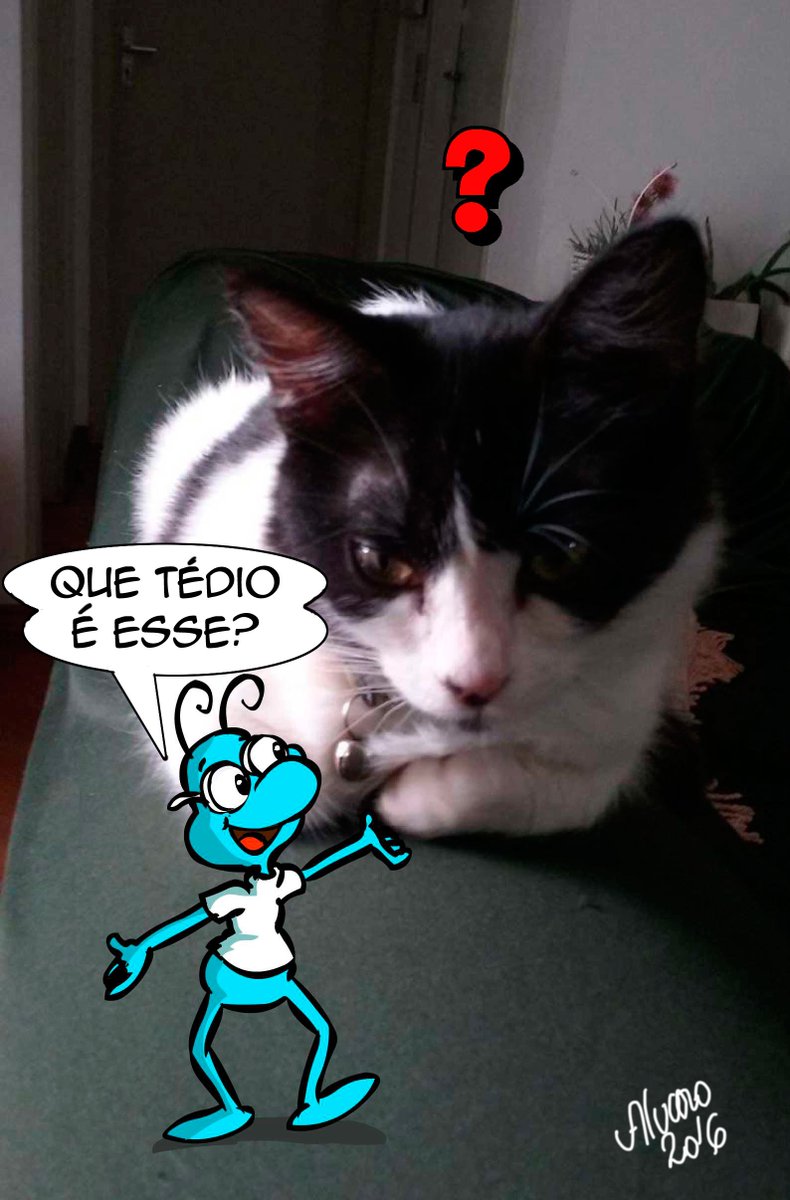 alvaropoliveira's tweet photo. https://t.co/fV8WCzzice