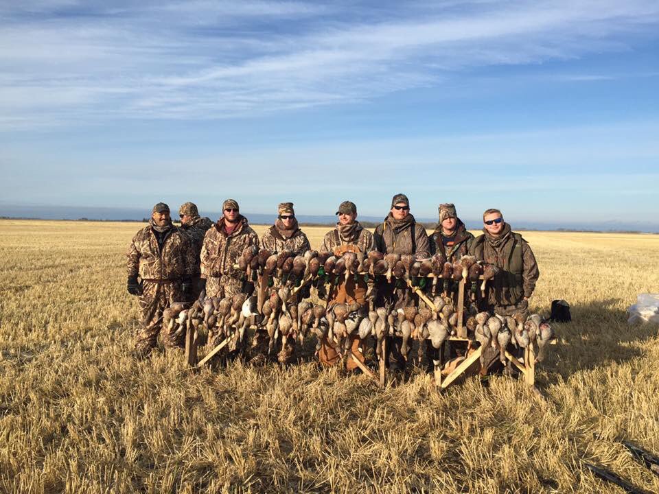 Falling_FGC's tweet photo. 96 ducks and some bonus geese ! Done and out in 2 hours! https://t.co/ascOLud0cX