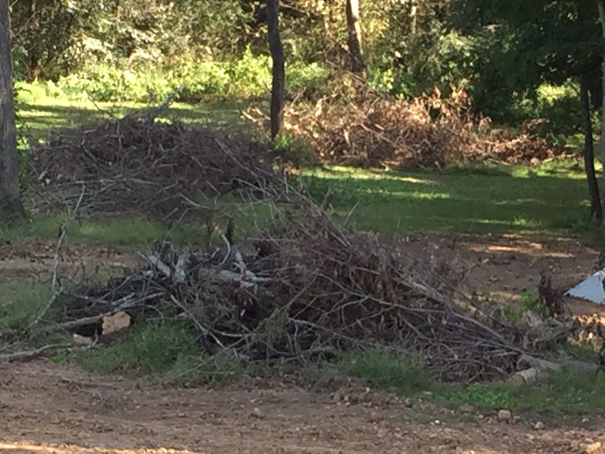 RichGuzzi's tweet photo. Got a couple of wood piles to burn in my yard. Anybody got a Samsung Galaxy 7 I can borrow to get this party started? https://t.co/eD0yzCnok1