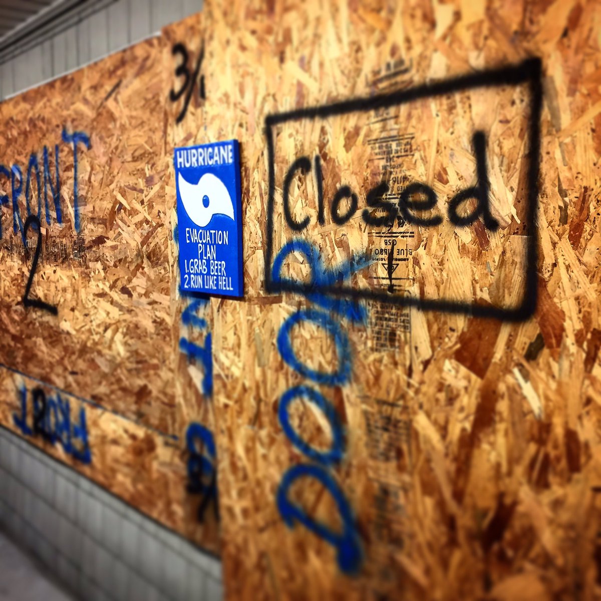 SunsetBeachTradingCo tweet media